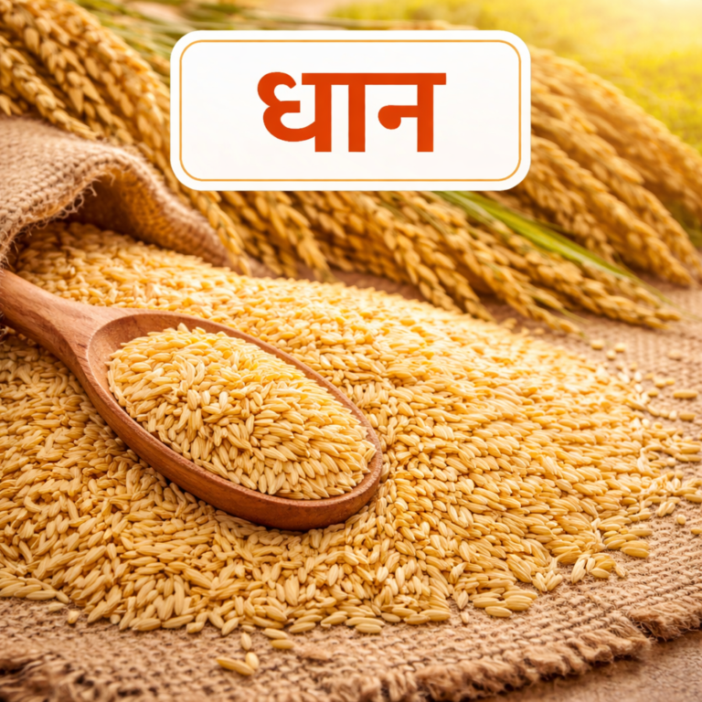 5F647DE4 81BE 4A04 8D7B 808EA7B1819C 768x768