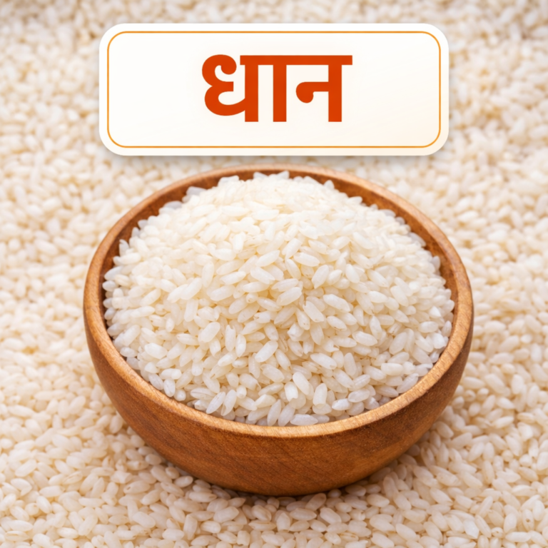 7CB5A979 FE39 4164 A6E4 668CE872AD7C 768x768