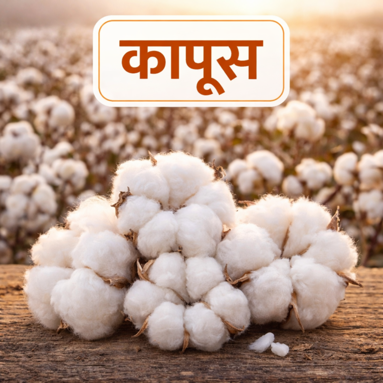 EC4F3F3E FA55 4995 BB21 7C8B1C77E8F5 768x768