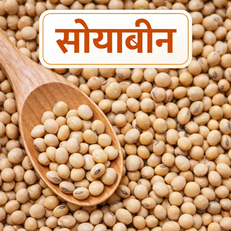 ED589EC8 7041 44F1 AEFE 03EA7D162A73 768x768